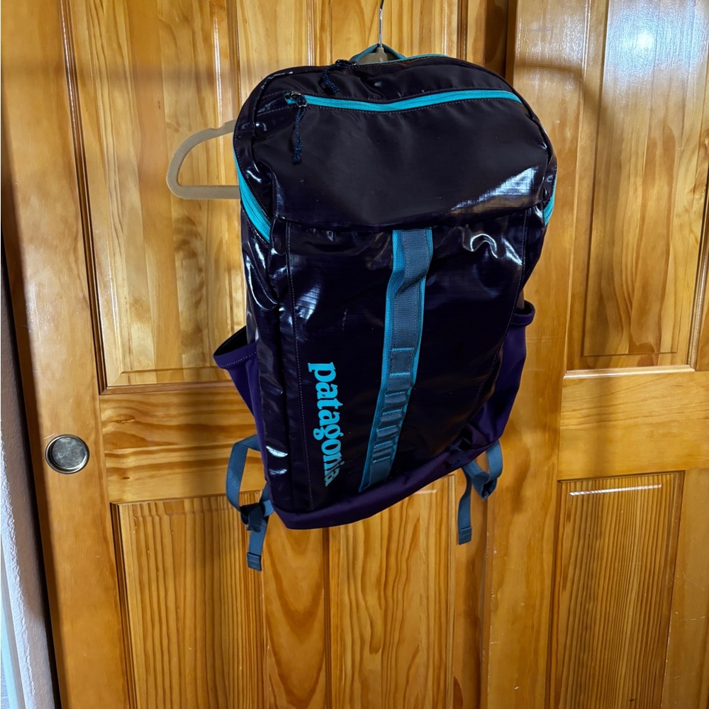 Patagonia Black Hole Backpack Purple and Teal